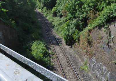 Single-track railway in cutting below