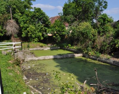 Ponds covered in green week arranged in square formation